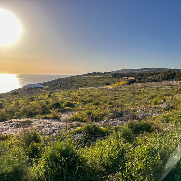 Green Spaces Open to the Public in National Heritage Sites